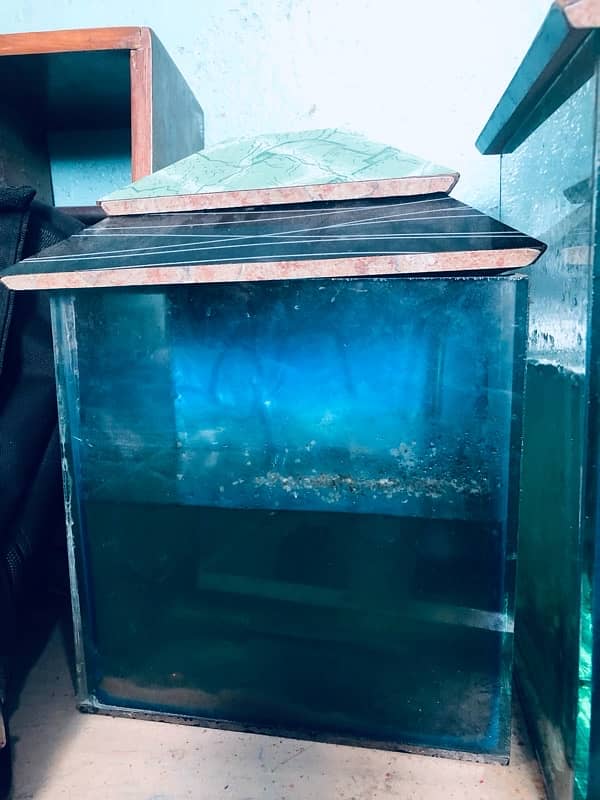 2 Aquariums 5