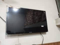 eco star 32inch 1year usd