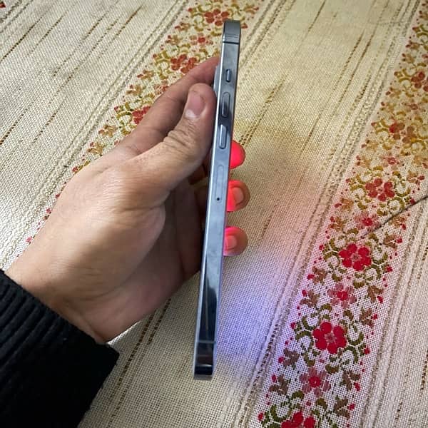 iphone 13 pro max 1