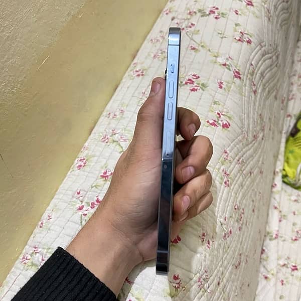 iphone 13 pro max 3