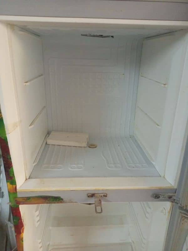 PEL Refrigerator 1