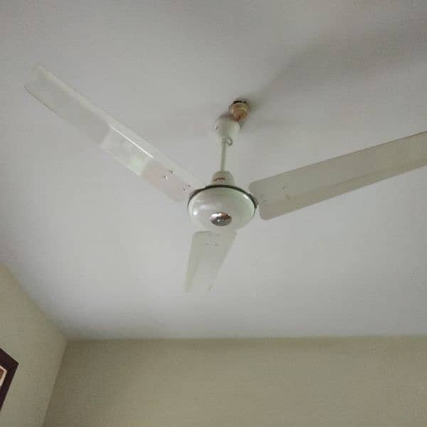 Royal Ceiling Fan 0