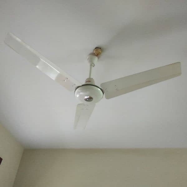 Royal Ceiling Fan 1