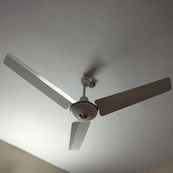 Royal Ceiling Fan 2