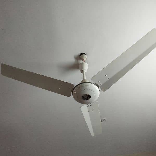 Royal Ceiling Fan 3