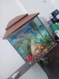 aquarium