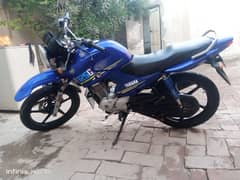 Yamaha ybr g 2021 model /03236350950/