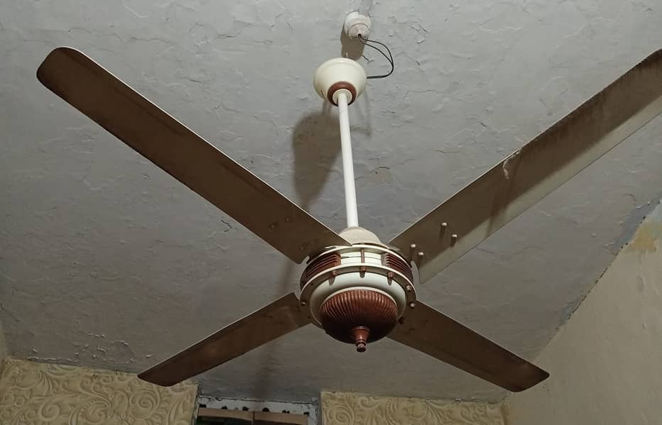 Cieling Fan 4