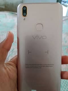 vivos