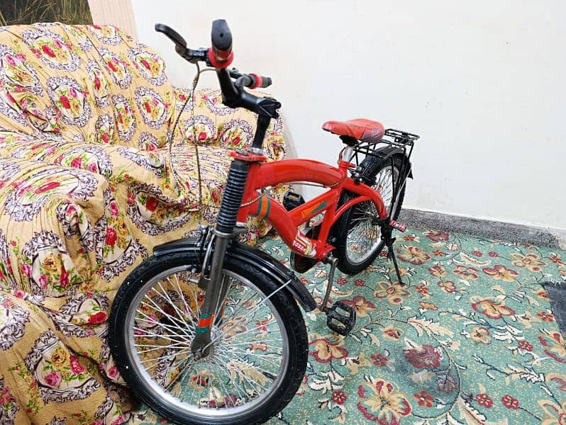 Bicycle for 10 plus child 1