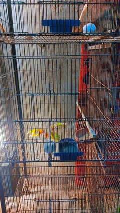 Birds Partition Cage 4 Portion