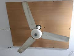 GFC ceiling fan