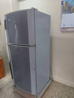 medium size fridge