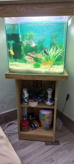 Fish Aquarium