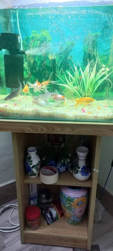 Fish Aquarium 2