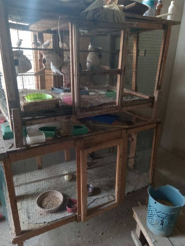 cages for sell 3