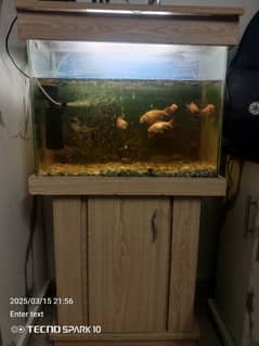 Fish Aquarium For Sale