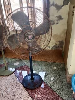 urgent sale 2 fan