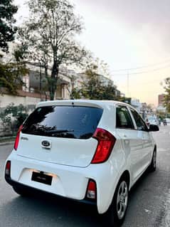 kia picanto 2021 model bumper to bumper original new car