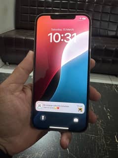 iPhone 12 Pro Max non pta