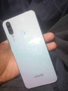 vivo