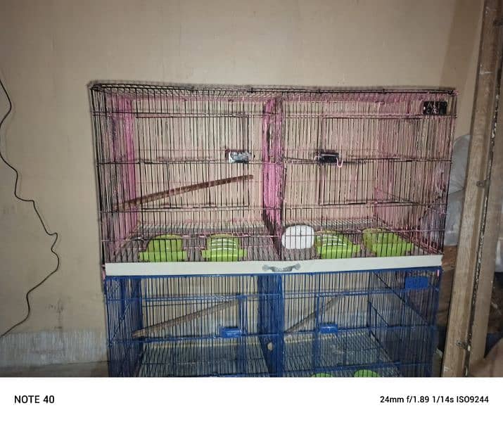 2 cages 2