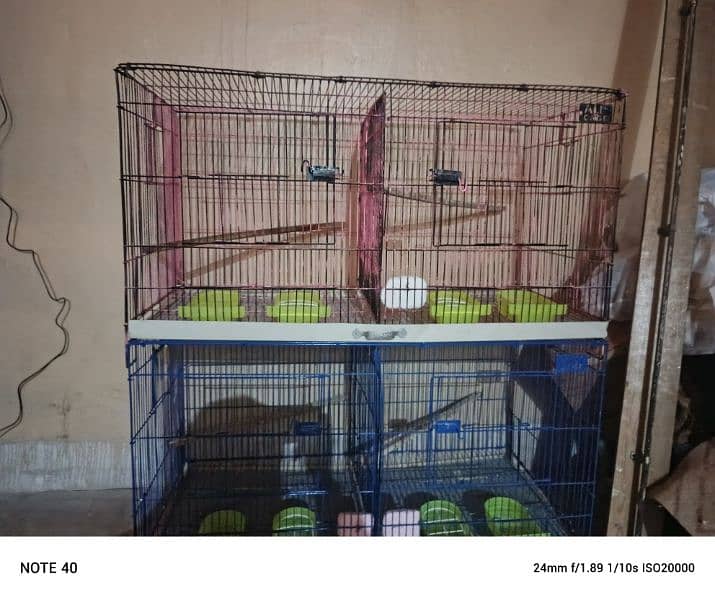 2 cages 5