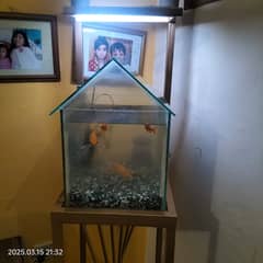 Customized fish aquirium as per customer's need, design and size