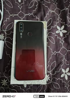 Vivo