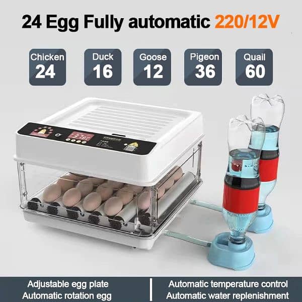 70 Eggs Intelligent Incubator Full Automatic AC-DC 2