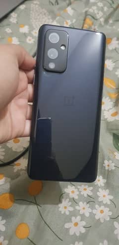 oneplus