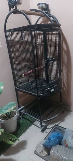 cage for parrot