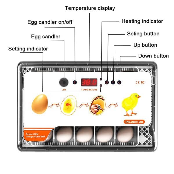 20 Eggs HHD Full Automatic Incubator 1