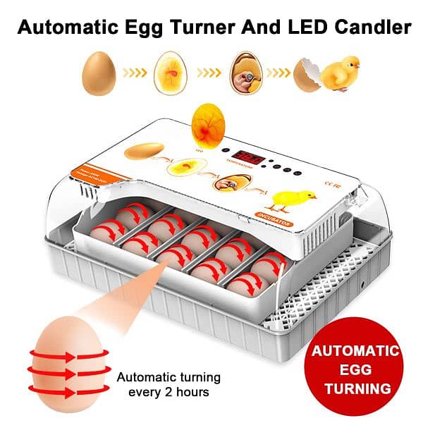20 Eggs HHD Full Automatic Incubator 2
