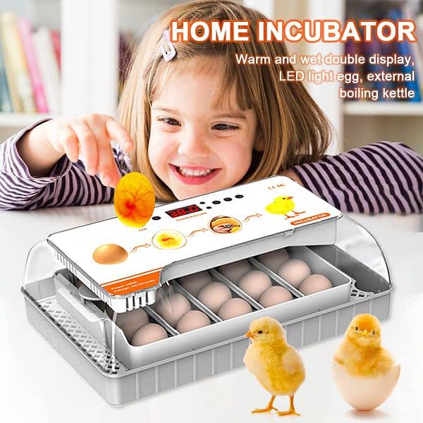 20 Eggs HHD Full Automatic Incubator 4
