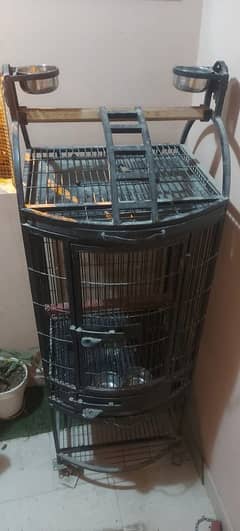 parrot cage