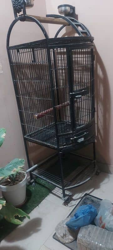 parrot cage 3