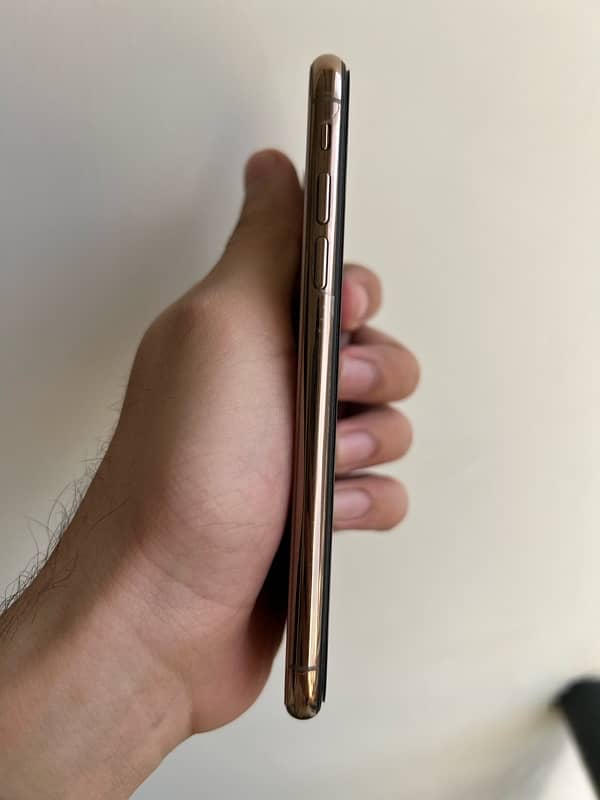 iPhone XS 256Gb 2