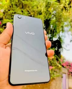 vivo