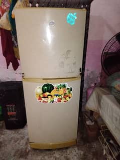 pal fridge