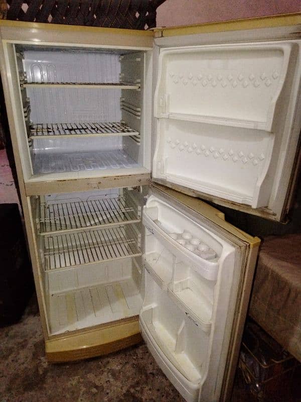 pal fridge 1