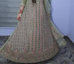 Bridal Maxi Full Embroidery Multicolor Work on Net Fabric Pista