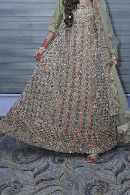 Bridal Maxi Full Embroidery Multicolor Work on Net Fabric Pista 2