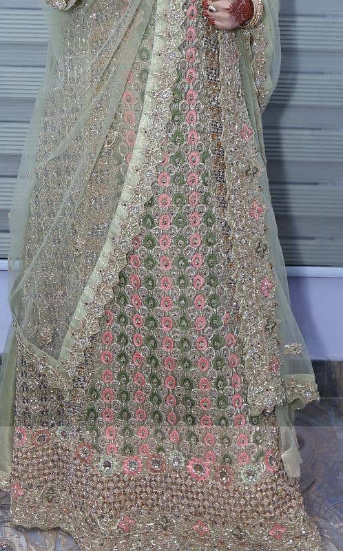 Bridal Maxi Full Embroidery Multicolor Work on Net Fabric Pista 4