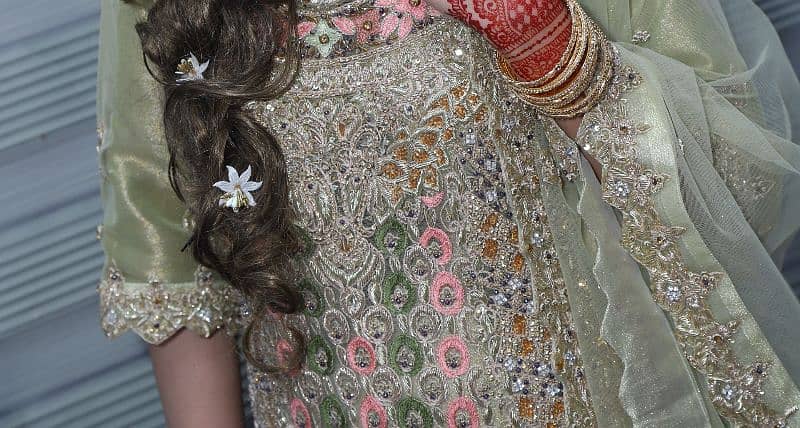 Bridal Maxi Full Embroidery Multicolor Work on Net Fabric Pista 6