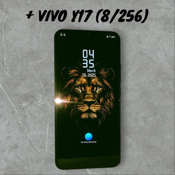 VIVO Y17 8/256 1