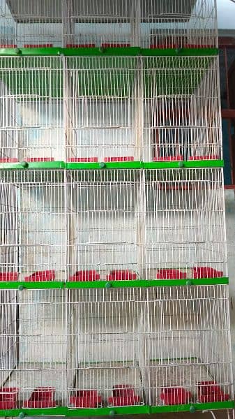 Cage Birds 12 Pcs 2