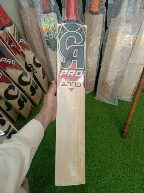 CA pro 3000 Bat 0