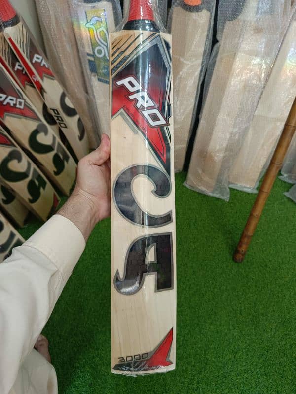 CA pro 3000 Bat 2