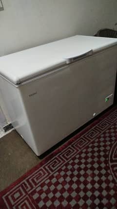 Haier Deep Freezer Single Door